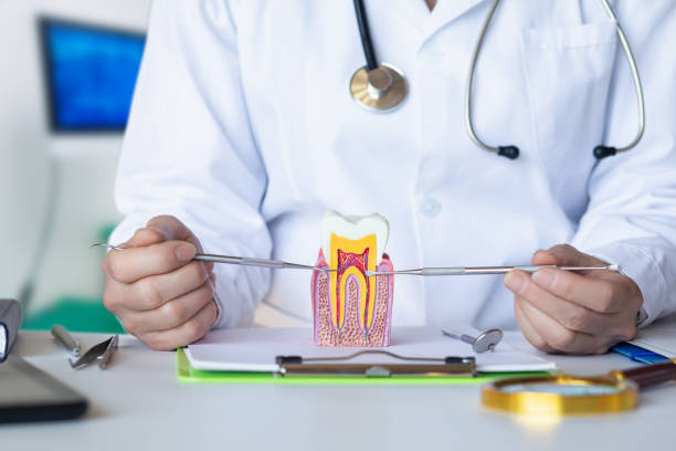 Best Broken Tooth Emergency  in Ensley, FL